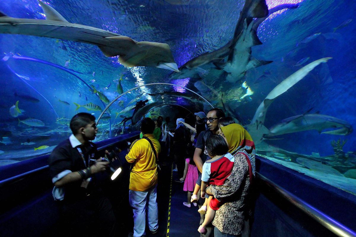 The walk-through aquarium tunnel at Aquaria KLCC